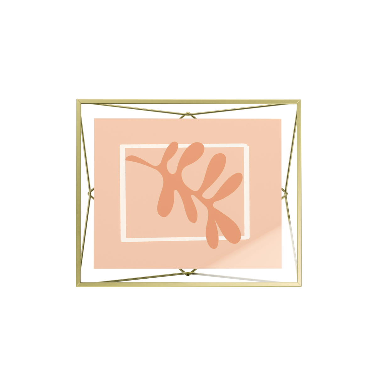Tabletop Frames | color: Matte-Brass | size: 8x10" (20x25 cm)