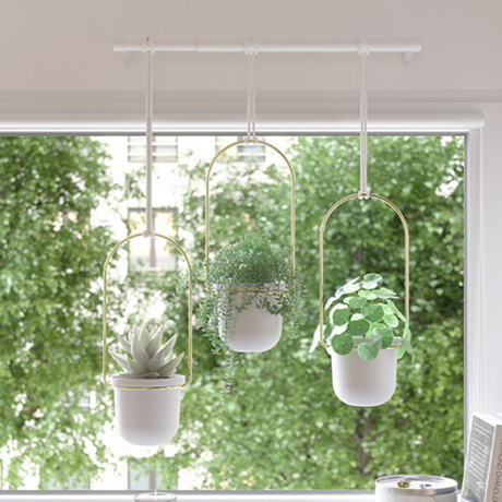 Triflora Hanging Planter