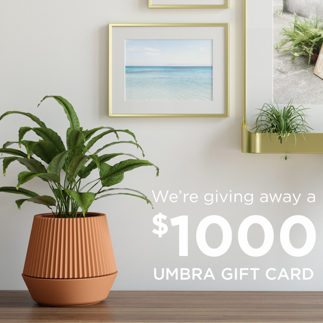 Show Us Your Umbra & Win A $1000 Gift Card