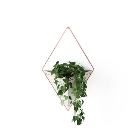 Wall Planters | color: Concrete-Copper