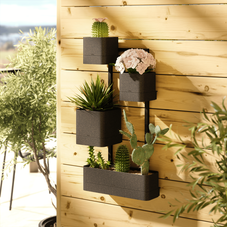 Wall Planters | color: Black