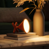 Desk Lamp | color: Sierra | Hover