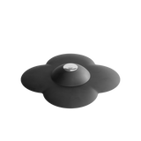 | color: Black
