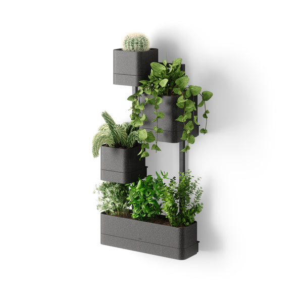 Cubiko Wall Planter – Umbra Canada