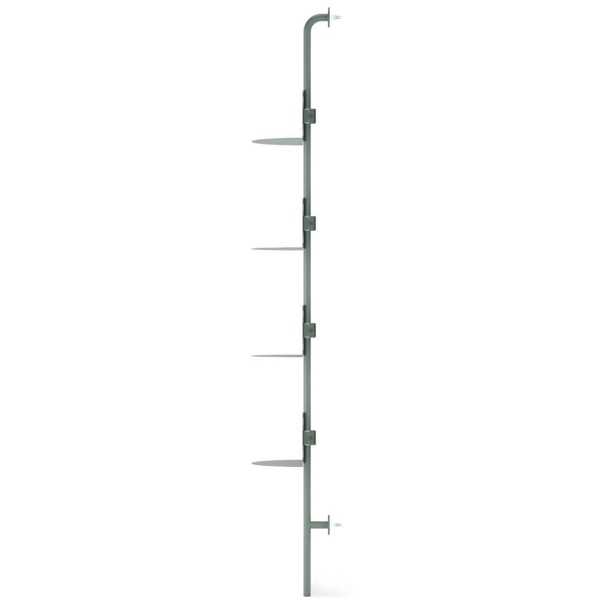 Shelves & Magazine Racks | color: Spruce