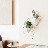 Wall Planters | color: White-Nickel | Hover