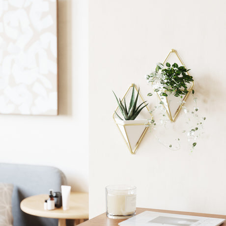 Wall Planters | color: White-Brass | https://player.vimeo.com/video/176224842