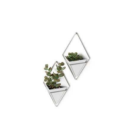 Wall Planters | color: White-Nickel
