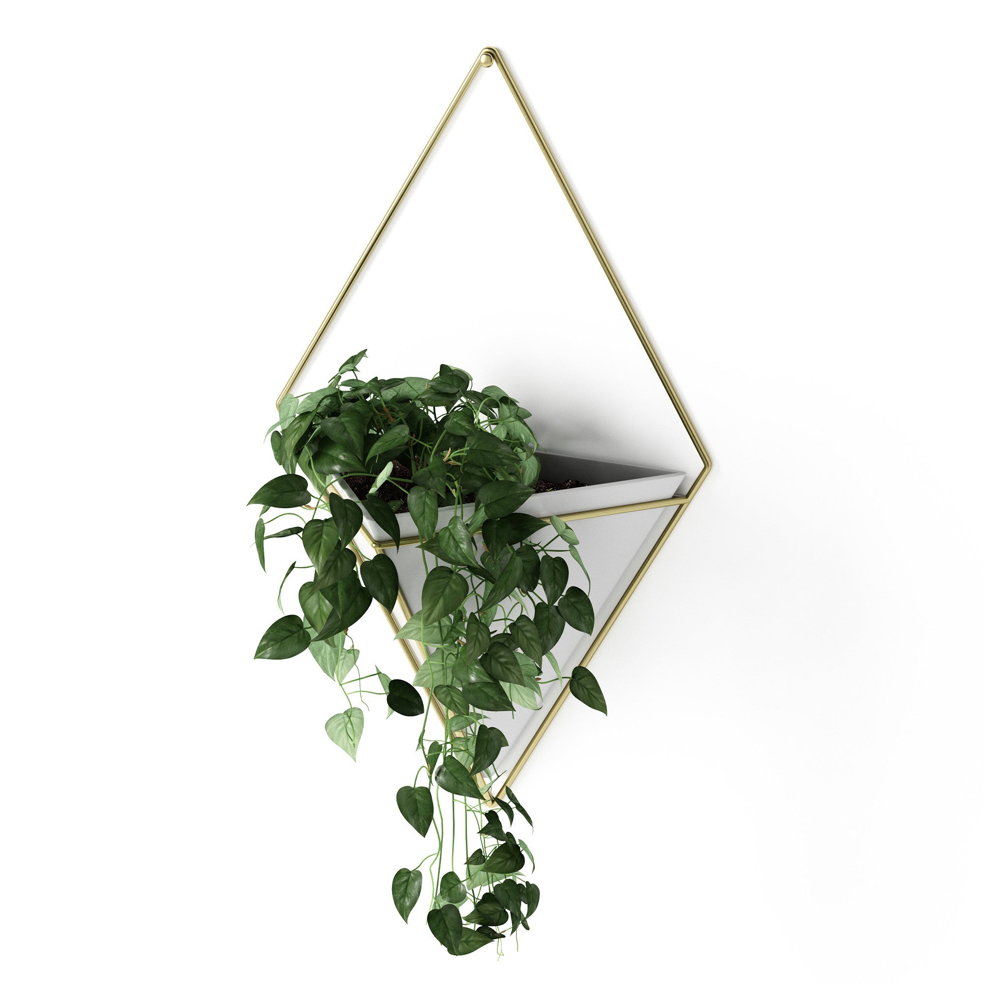 Large popular Isosceles Planter. Geometric Hanging Wall Planter