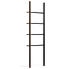 Storage & Ladders