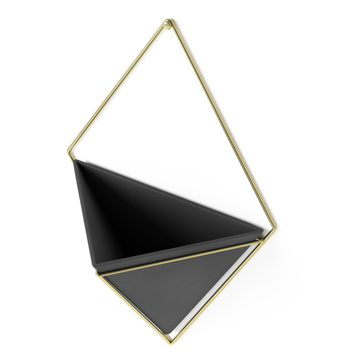 Wall Planters | color: Black-Brass